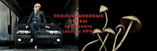 гидра Белоозёрский