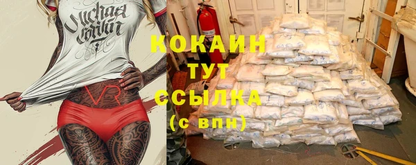 гидра Белоозёрский