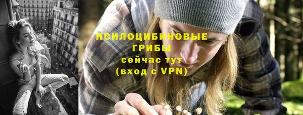 гидра Белоозёрский