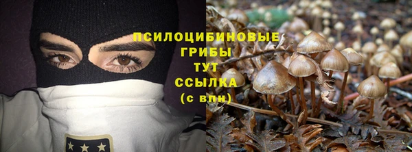 твердый Белокуриха